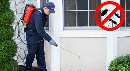 Selçuk Dezenfeksiyon böcek ilaçlama ve haşere kontrolü — ilaclama-tr.com